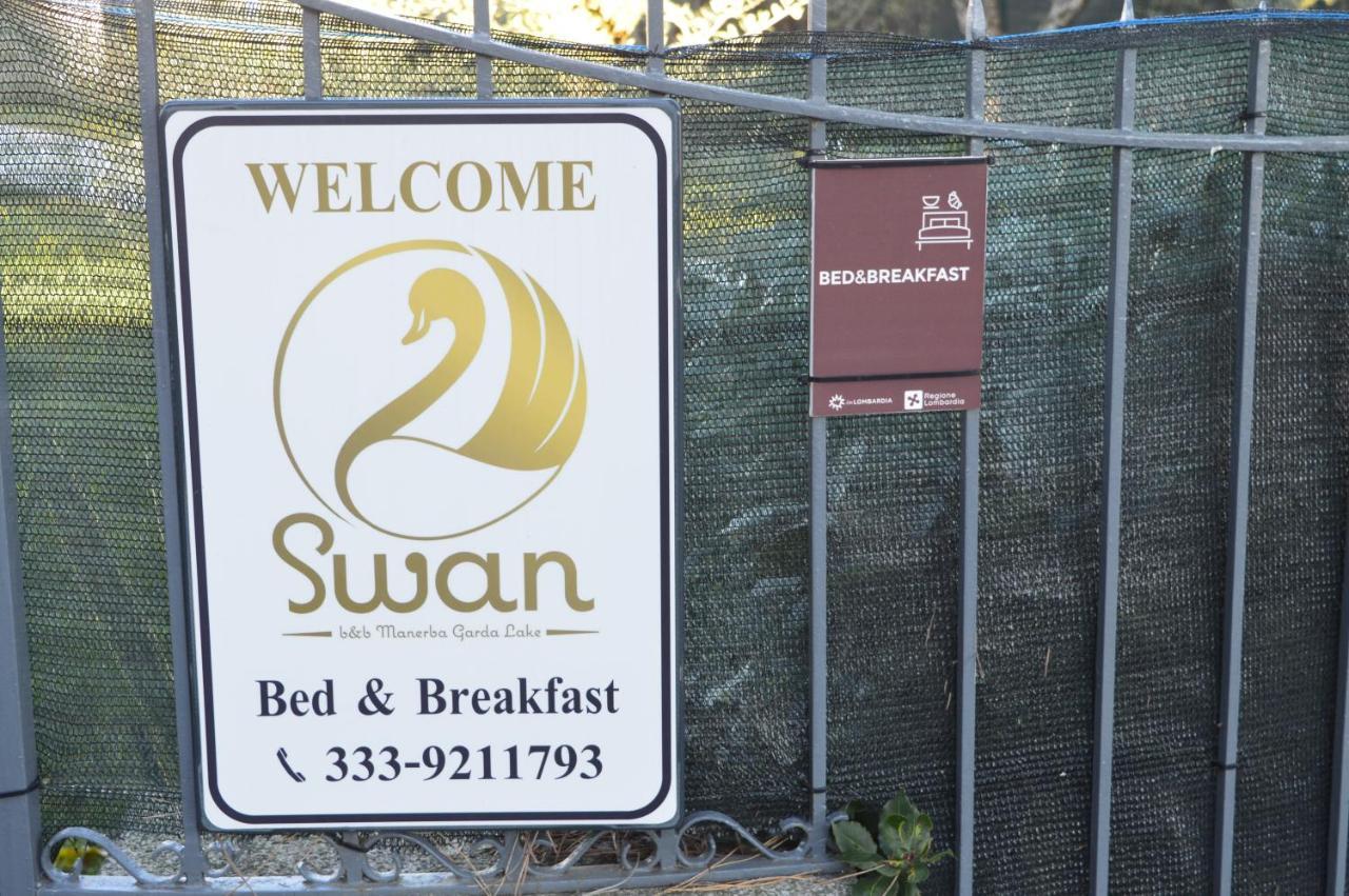 The Swan