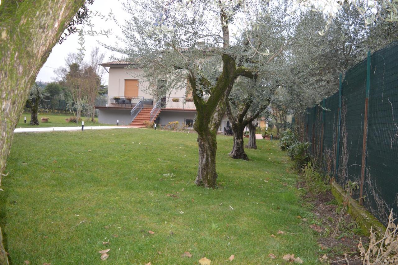 The Swan Manerba del Garda