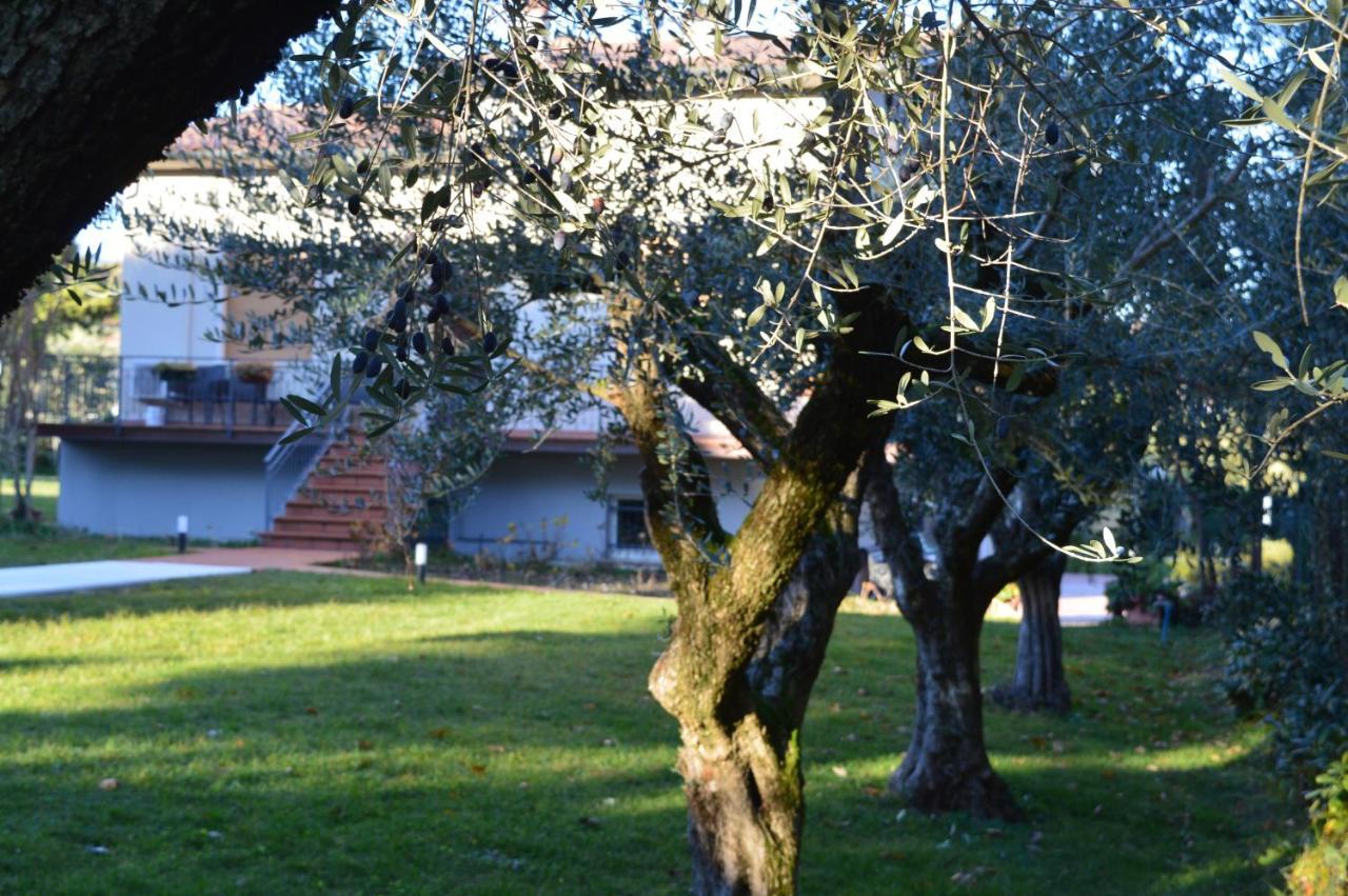 The Swan Manerba del Garda